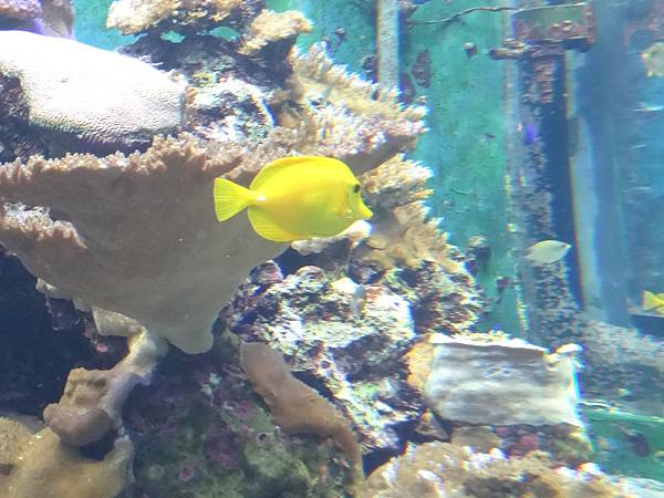 2013-10-11_18-28-08.JPG