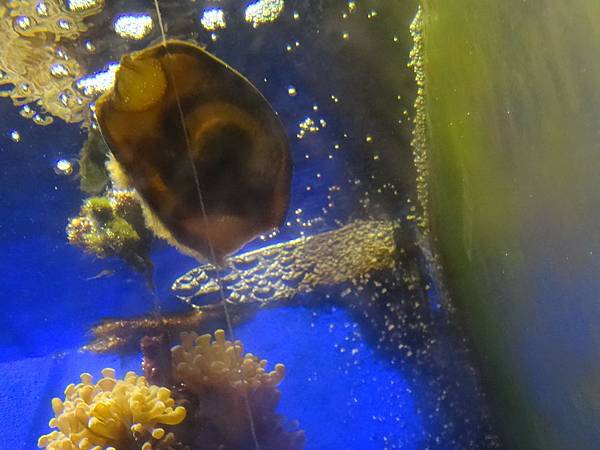 2013-10-11_19-01-03.JPG