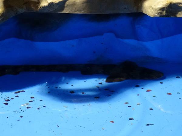 2013-10-11_19-04-43.JPG