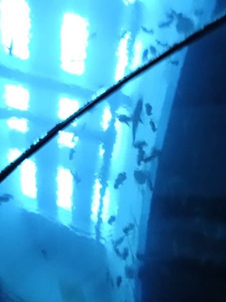 2013-10-12_05-47-40.JPG