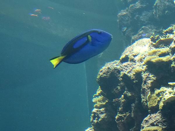 2013-10-12_07-56-59.JPG