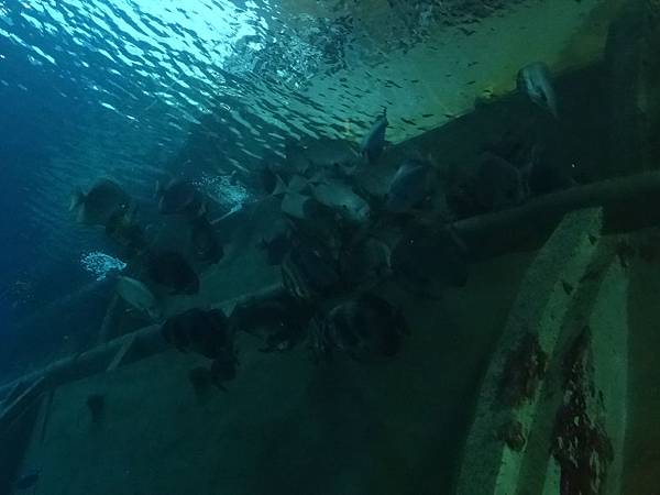 2013-10-12_07-57-35.JPG