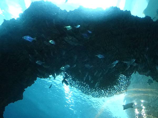 2013-10-12_07-59-25.JPG