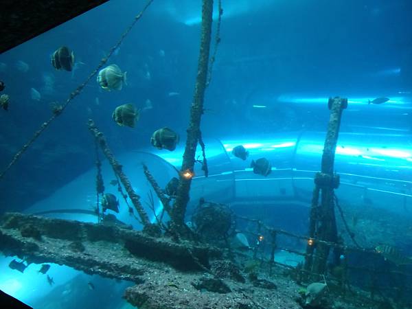 2013-10-12_08-02-54.JPG