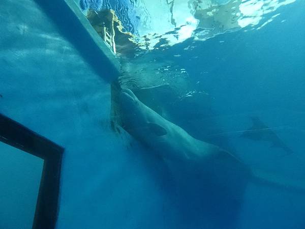 2013-10-12_08-10-43.JPG
