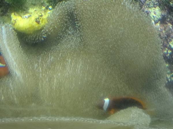 2013-10-12_08-23-01.JPG