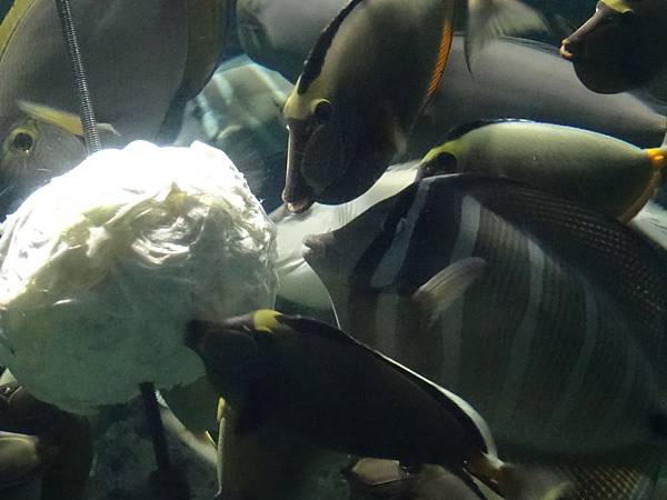 2013-10-12_08-35-02.JPG