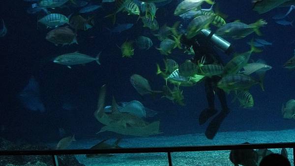 2013-10-12_08-56-45.JPG