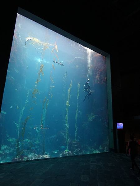 2013-10-12_10-44-33.JPG