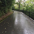 IMG_9968.JPG
