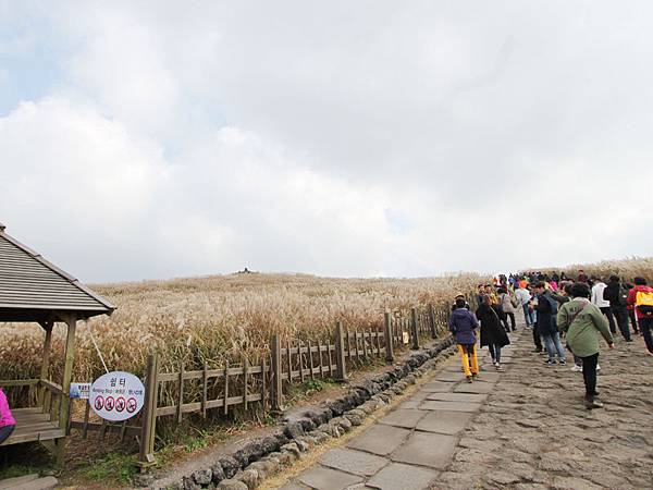 shanjunbuli3.jpg shanjunbuli3.jpg