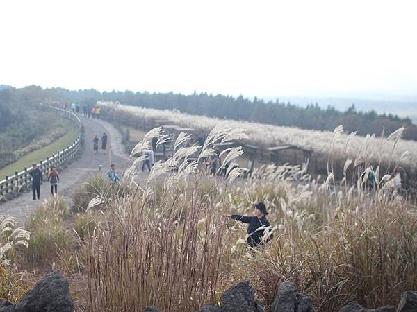 shanjunbuli6.jpg shanjunbuli6.jpg