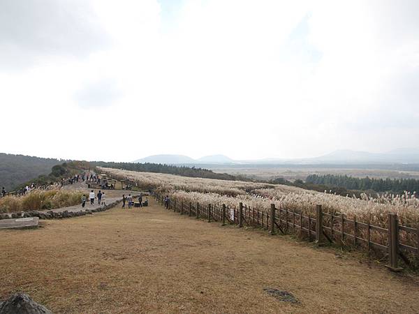 shanjunbuli8.jpg shanjunbuli8.jpg