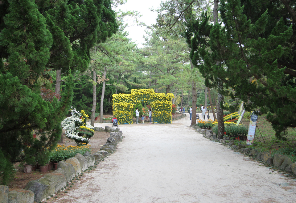 hanlin.jpg hanlin.jpg