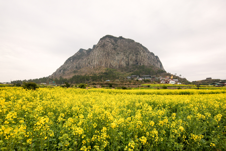 juje180110+%281%29.jpg juje180110+%281%29.jpg