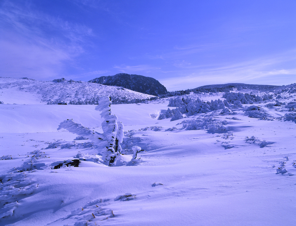 juje180110+%283%29.jpg juje180110+%283%29.jpg