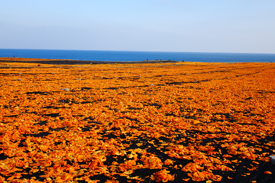 juje180110+%2810%29.jpg juje180110+%2810%29.jpg