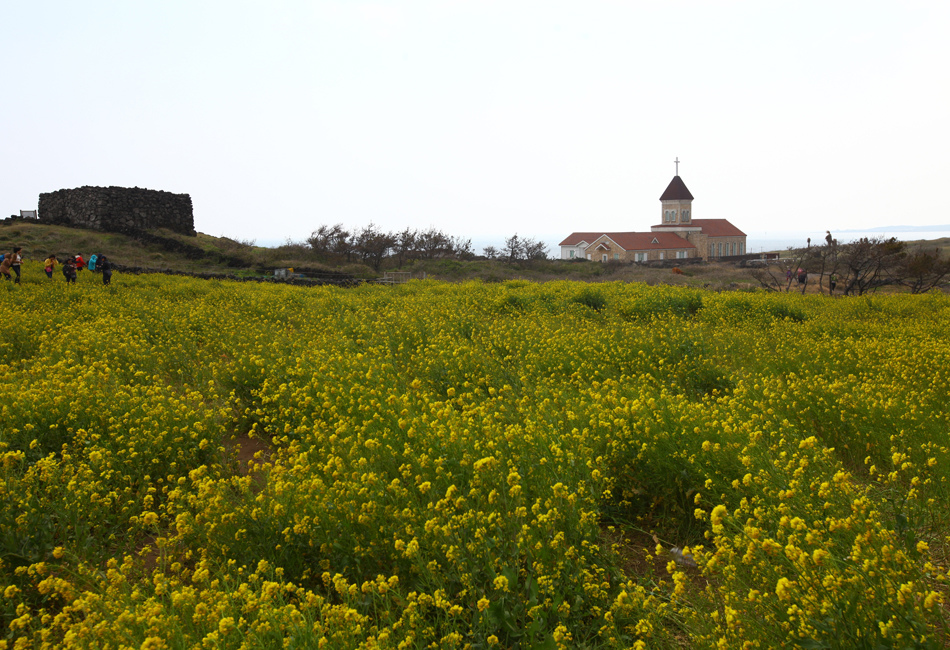 jeju3m+%283%29.jpg