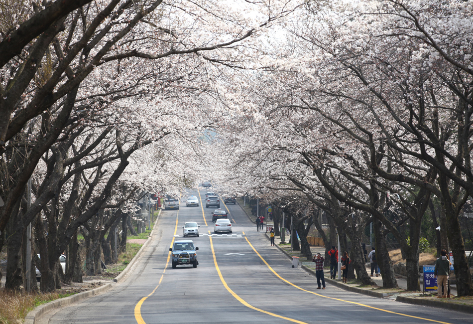 jeju4m+%285%29.jpg jeju4m+%285%29.jpg