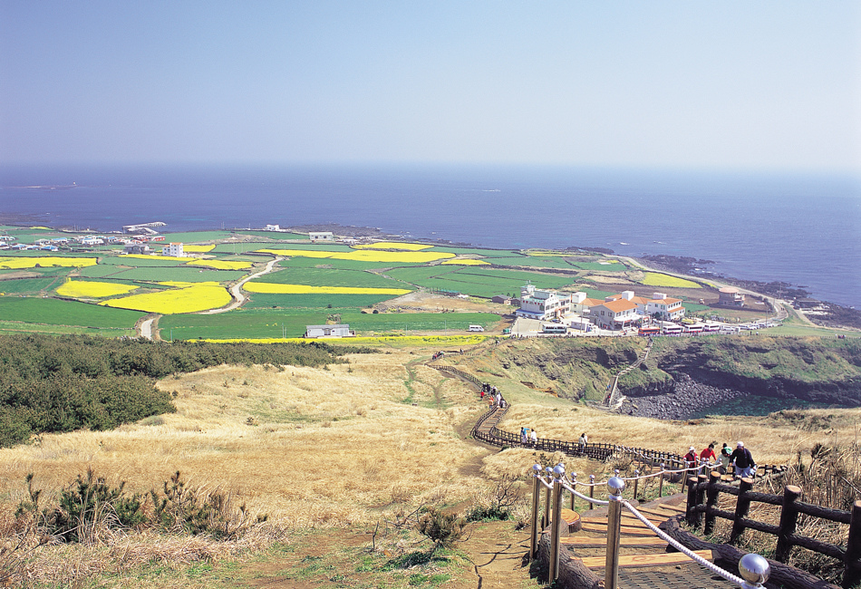 jeju4m+%287%29.jpg