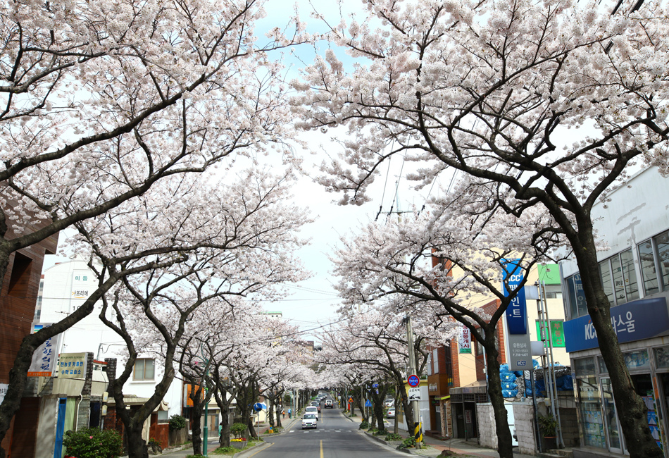 jeju4m+%284%29.jpg jeju4m+%284%29.jpg