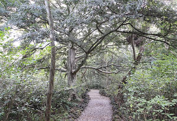 jeju5m+%287%29.jpg