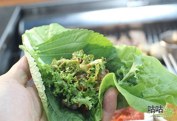 hdaplus (33).jpg hdaplus (33).jpg