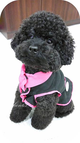 P1300324.jpg P1300324.jpg