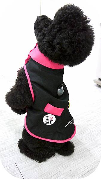 P1300332.jpg P1300332.jpg