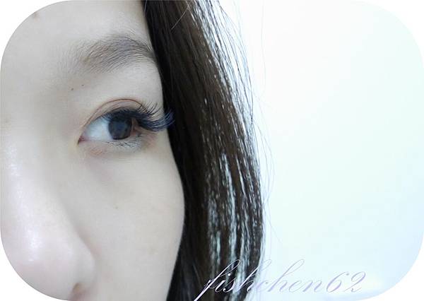 P1300588.jpg P1300588.jpg