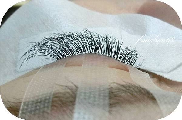 S__76603398.jpg S__76603398.jpg