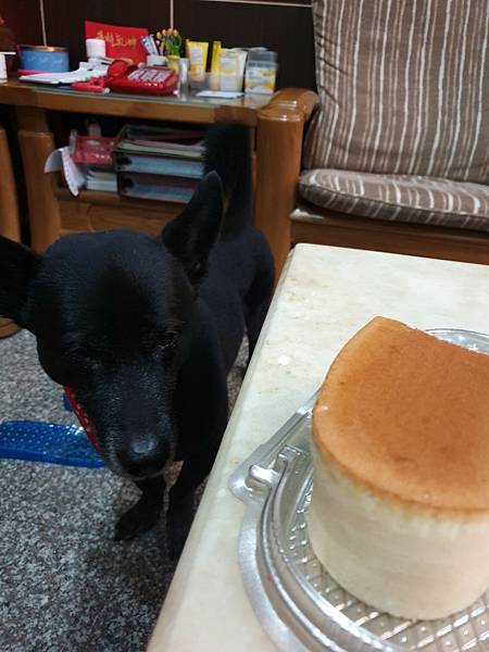 <食記-全聯>逛甜點櫃時絕不能錯過的黃金輕乳酪蛋糕 <食記-全聯>逛甜點櫃時絕不能錯過的黃金輕乳酪蛋糕