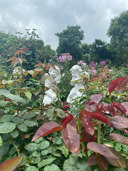 <遊記-苗栗三義>山那邊,綠葉方舟+雅聞香草植物工廠 ARW <遊記-苗栗三義>山那邊,綠葉方舟+雅聞香草植物工廠 ARW