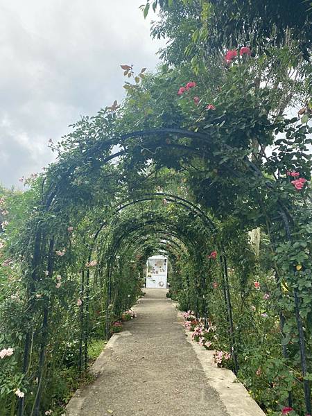 <遊記-苗栗三義>山那邊,綠葉方舟+雅聞香草植物工廠 ARW <遊記-苗栗三義>山那邊,綠葉方舟+雅聞香草植物工廠 ARW