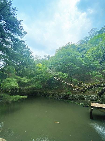 <遊記-苗栗三義>山那邊,綠葉方舟+雅聞香草植物工廠 ARW <遊記-苗栗三義>山那邊,綠葉方舟+雅聞香草植物工廠 ARW