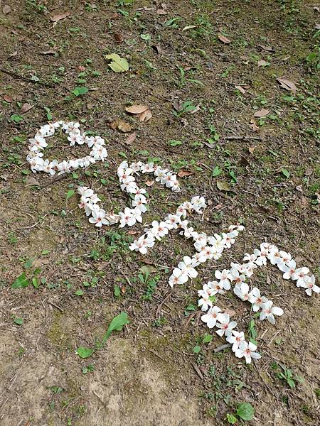 <遊記-苗栗三義>山那邊,綠葉方舟+雅聞香草植物工廠 ARW <遊記-苗栗三義>山那邊,綠葉方舟+雅聞香草植物工廠 ARW