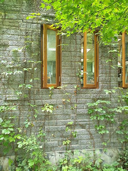 <遊記-苗栗三義>山那邊,綠葉方舟+雅聞香草植物工廠 ARW <遊記-苗栗三義>山那邊,綠葉方舟+雅聞香草植物工廠 ARW