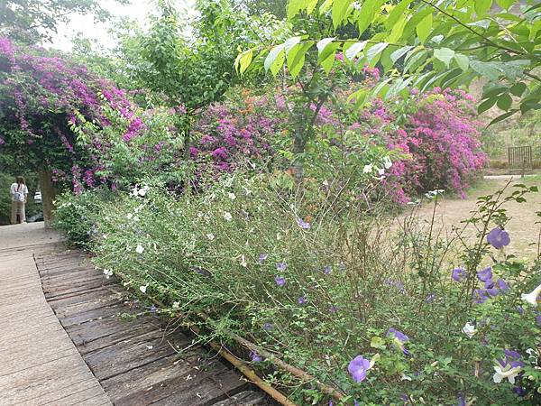 <遊記-苗栗三義>山那邊,綠葉方舟+雅聞香草植物工廠 ARW <遊記-苗栗三義>山那邊,綠葉方舟+雅聞香草植物工廠 ARW