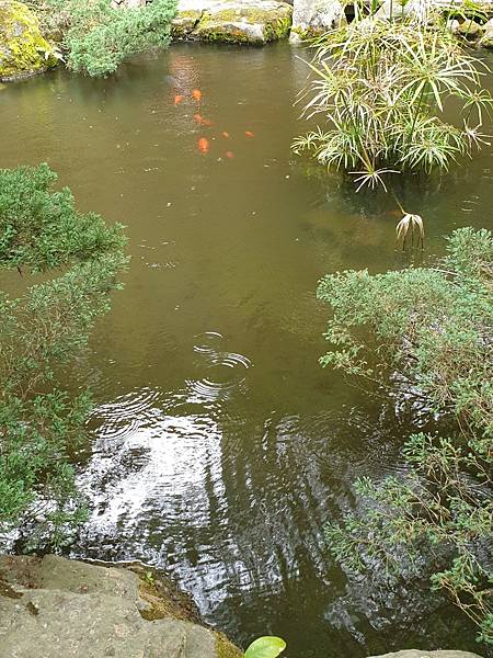 <遊記-苗栗三義>山那邊,綠葉方舟+雅聞香草植物工廠 ARW <遊記-苗栗三義>山那邊,綠葉方舟+雅聞香草植物工廠 ARW