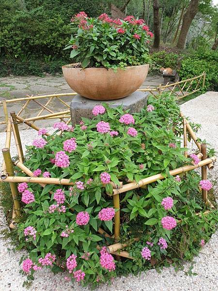 <遊記-苗栗三義>山那邊,綠葉方舟+雅聞香草植物工廠 ARW <遊記-苗栗三義>山那邊,綠葉方舟+雅聞香草植物工廠 ARW