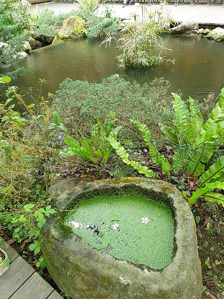 <遊記-苗栗三義>山那邊,綠葉方舟+雅聞香草植物工廠 ARW <遊記-苗栗三義>山那邊,綠葉方舟+雅聞香草植物工廠 ARW