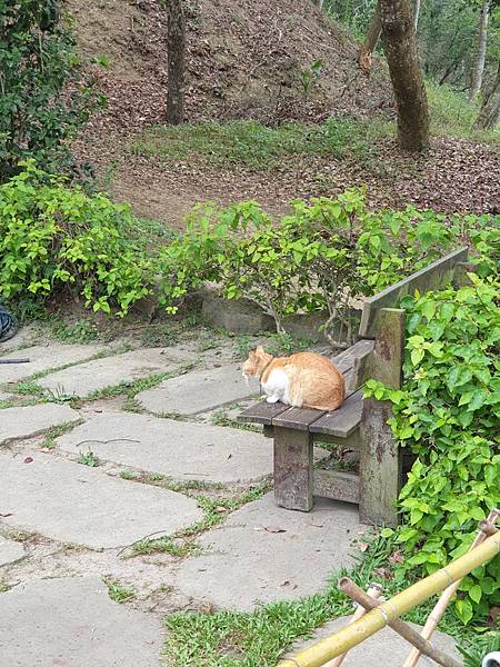 <遊記-苗栗三義>山那邊,綠葉方舟+雅聞香草植物工廠 ARW <遊記-苗栗三義>山那邊,綠葉方舟+雅聞香草植物工廠 ARW