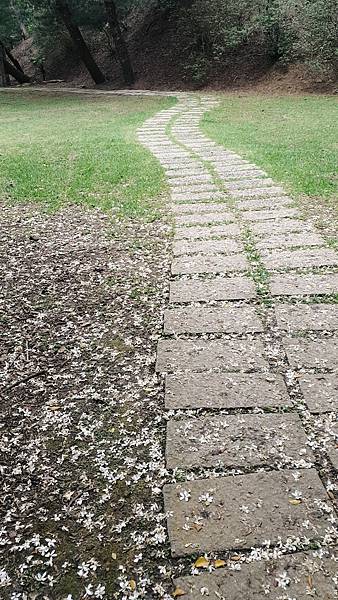 <遊記-苗栗三義>山那邊,綠葉方舟+雅聞香草植物工廠 ARW <遊記-苗栗三義>山那邊,綠葉方舟+雅聞香草植物工廠 ARW