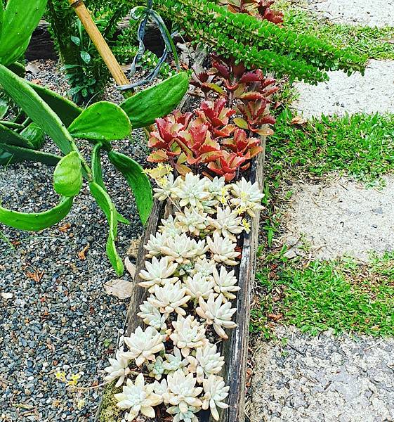 <遊記-苗栗三義>山那邊,綠葉方舟+雅聞香草植物工廠 ARW <遊記-苗栗三義>山那邊,綠葉方舟+雅聞香草植物工廠 ARW