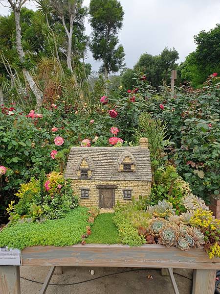 <遊記-苗栗三義>山那邊,綠葉方舟+雅聞香草植物工廠 ARW <遊記-苗栗三義>山那邊,綠葉方舟+雅聞香草植物工廠 ARW