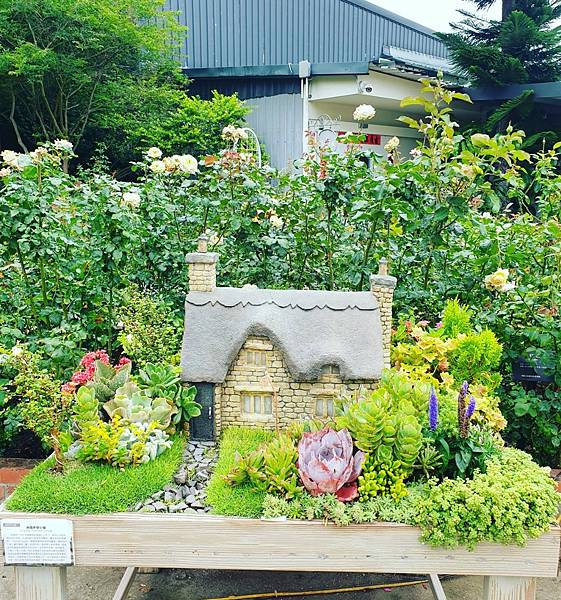 <遊記-苗栗三義>山那邊,綠葉方舟+雅聞香草植物工廠 ARW <遊記-苗栗三義>山那邊,綠葉方舟+雅聞香草植物工廠 ARW