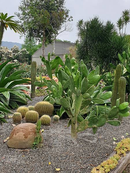 <遊記-苗栗三義>山那邊,綠葉方舟+雅聞香草植物工廠 ARW <遊記-苗栗三義>山那邊,綠葉方舟+雅聞香草植物工廠 ARW