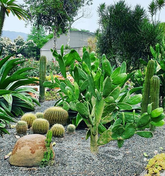 <遊記-苗栗三義>山那邊,綠葉方舟+雅聞香草植物工廠 ARW <遊記-苗栗三義>山那邊,綠葉方舟+雅聞香草植物工廠 ARW