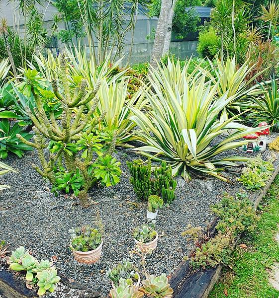 <遊記-苗栗三義>山那邊,綠葉方舟+雅聞香草植物工廠 ARW <遊記-苗栗三義>山那邊,綠葉方舟+雅聞香草植物工廠 ARW