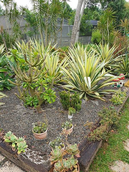 <遊記-苗栗三義>山那邊,綠葉方舟+雅聞香草植物工廠 ARW <遊記-苗栗三義>山那邊,綠葉方舟+雅聞香草植物工廠 ARW